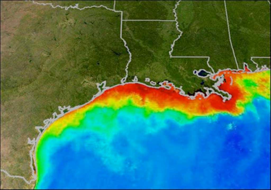 An oxygen-starved hypoxic zone, commonly called a dead zone and shown in red, forms each summer in the Gulf of Mexico. Fish and shellfish either leave the oxygen-depleted waters or die, resulting in losses to commercial and sports fisheries. Credit: NOAA