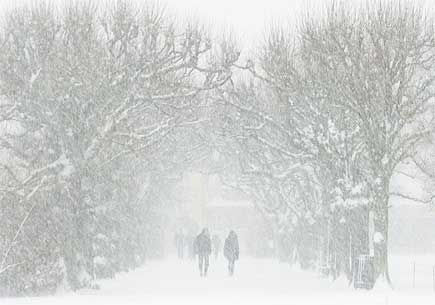 A snowy outdoor scene. Image credit: sxc.hu user BeverlyLR