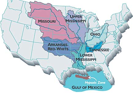 Farmland runoff containing fertilizers and livestock waste, some of it from as far away as the Corn Belt, is the main source of the nitrogen and phosphorus that cause the annual Gulf of Mexico "dead zone." Image credit: Donald Scavia
