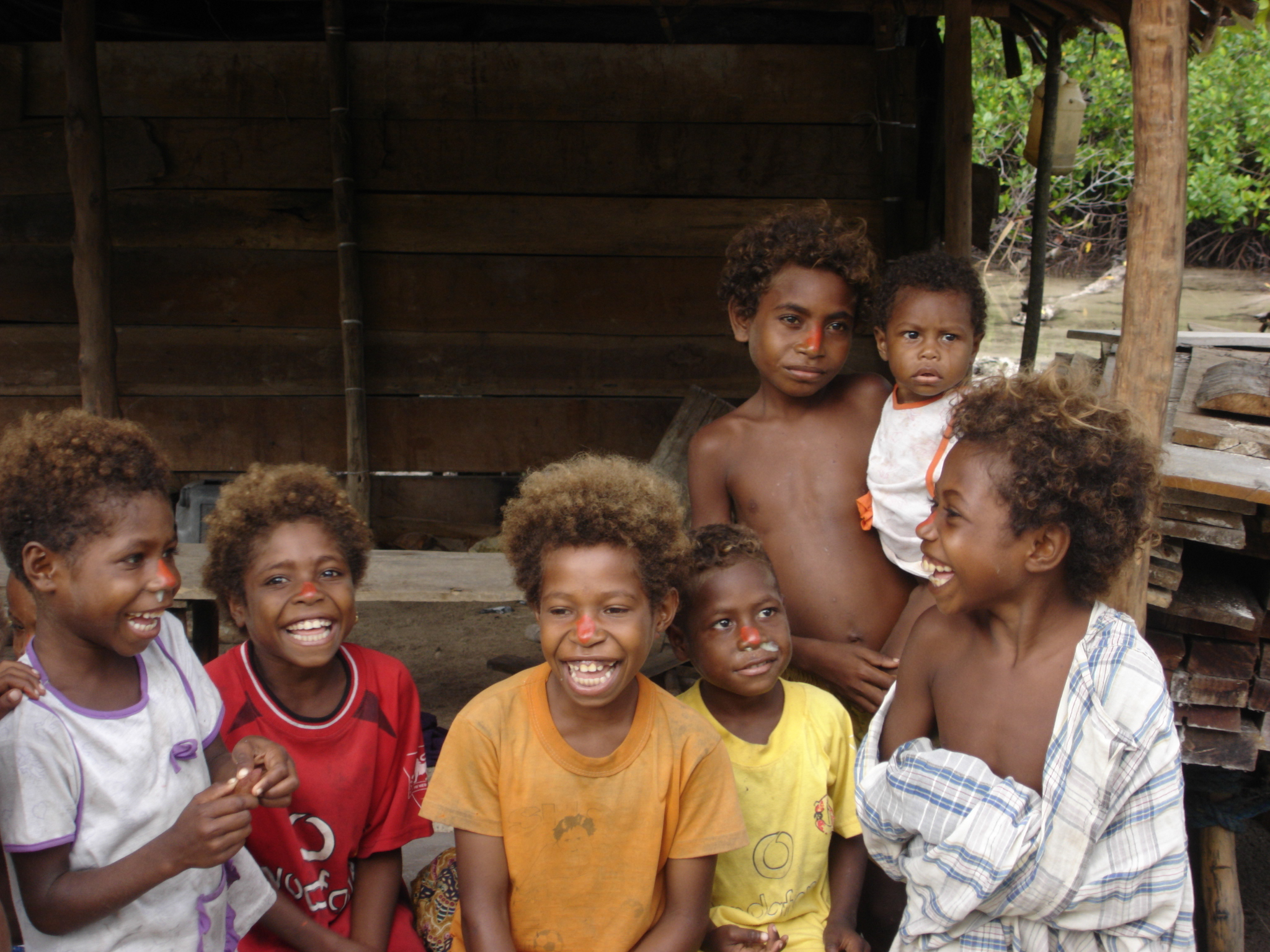Children from a village in the Papua province of Indonesia. The village is involved in conservation activities related to the preservation of the red bird of paradise. Image credit: Daniel Miller