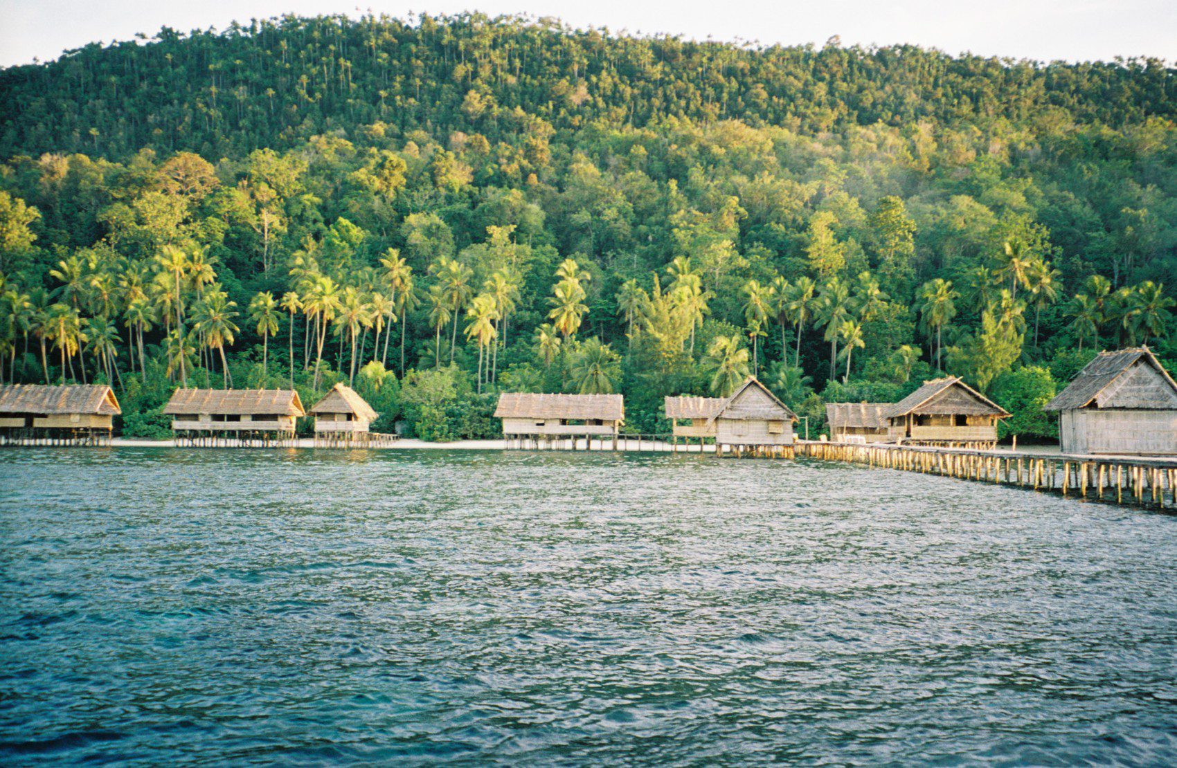 An ecotourism operation in the Papua province of Indonesia supported by international conservation groups to deliver biodiversity conservation and community development. Image credit: Daniel Miller