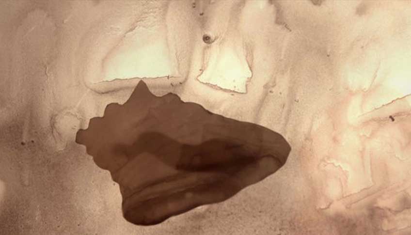 "Vessel" by Collin McRae is a video created for the Many Voices project and inspired by a conch trumpet in an embossed silver mount, 800 - 1900, from Tibet or Nepal.