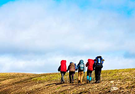 A group of hikers. (stock photo)