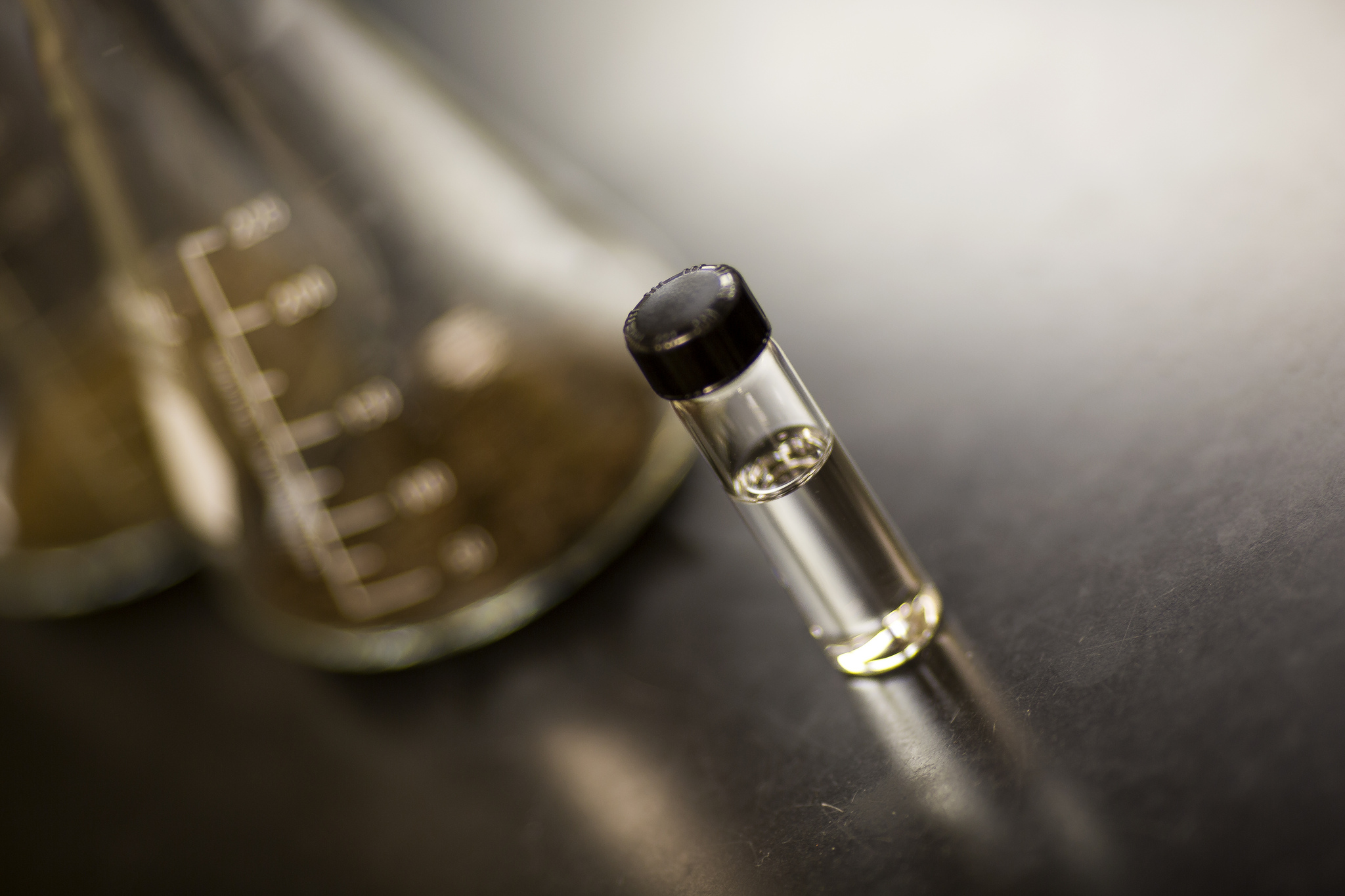 The biofuel isobutanol, in the vial, was produced by a microbe community feeding on corn stalks and leaves or switchgrass, shown in the flasks behind. Image credit: Joseph Xu