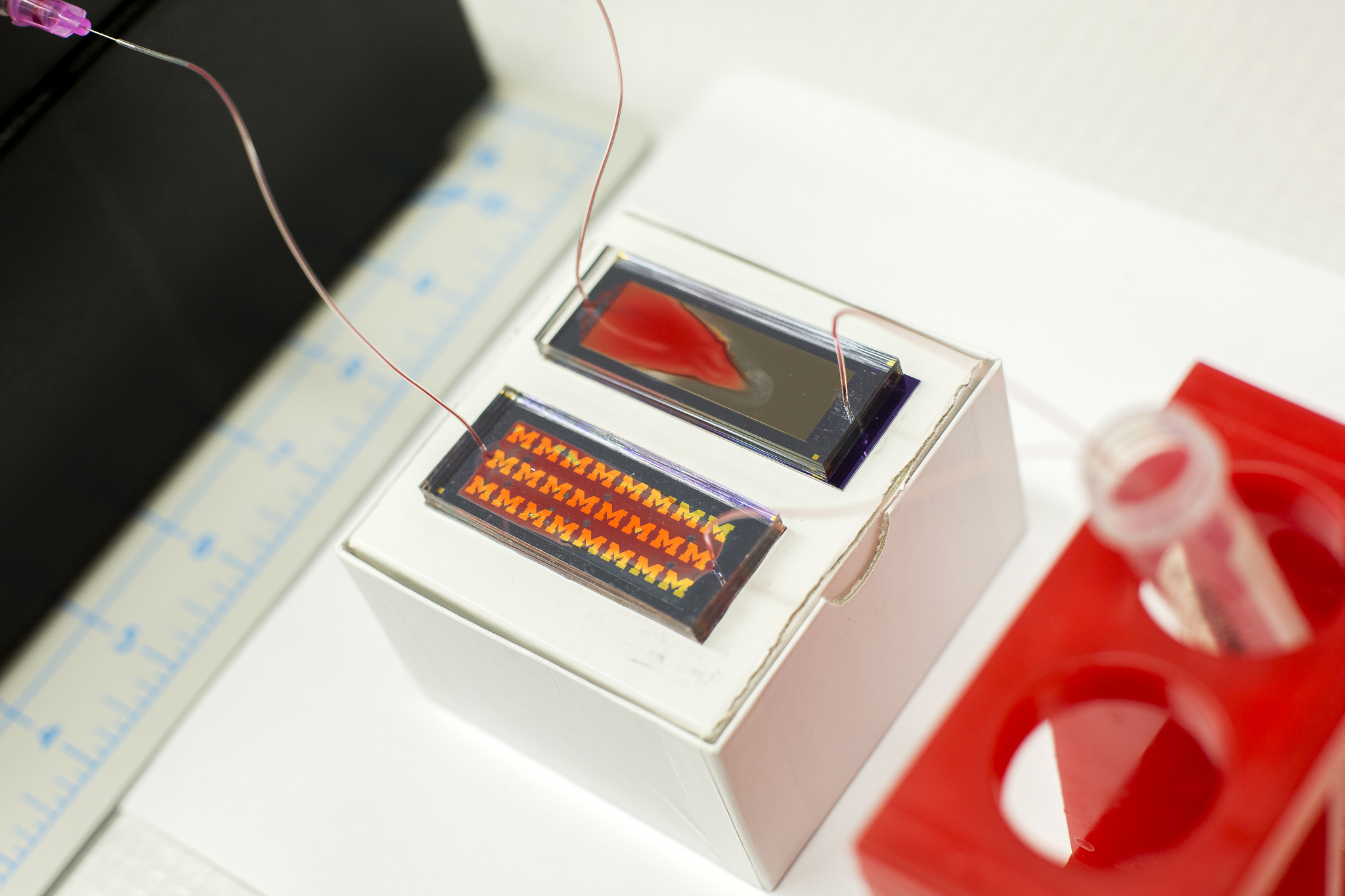 Blood samples run through microfluidic chips. The gold patterns are too small to distinguish with the naked eye in the working device, resulting in a metallic sheen. Image credit: Joseph Xu, Michigan Engineering communications & Marketing