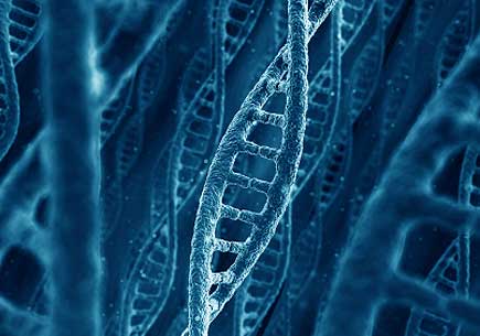 DNA stucturees. (stock image)