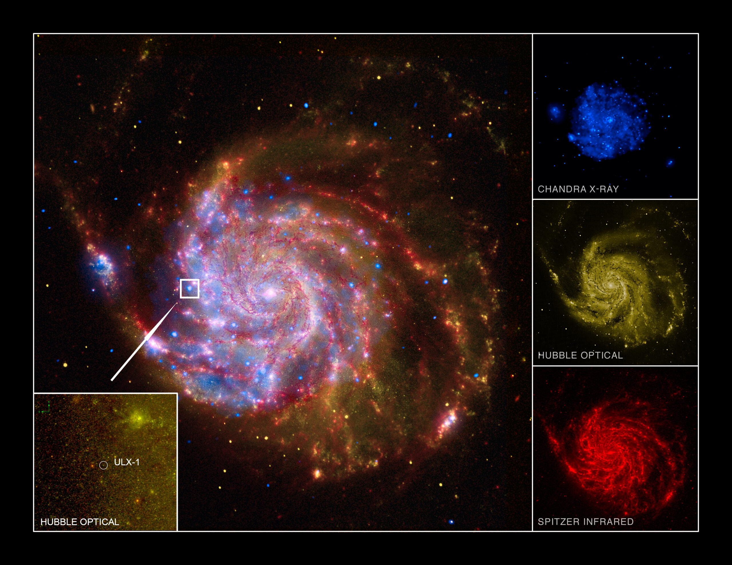 Astronomers have, for the first time, directly measured the mass of a mysterious source of X-ray light in the Pinwheel Galaxy, one of our nearest spiral neighbors. Turns out it's composed of an ultra-bright stellar-mass black hole and an orbiting star. Image credit: Jifeng Liu