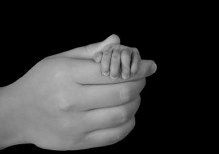 An adult hand holding a baby's had. (stock image)