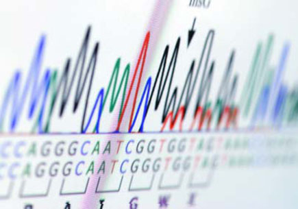 Genetic analysis chart. (stock image)