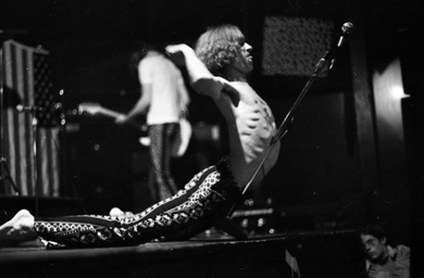Iggy Pop performing