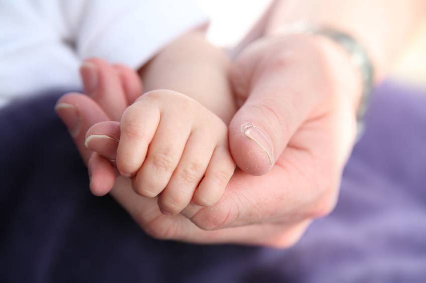 A small child's hand nestled in a large adult's hand. (stock image)
