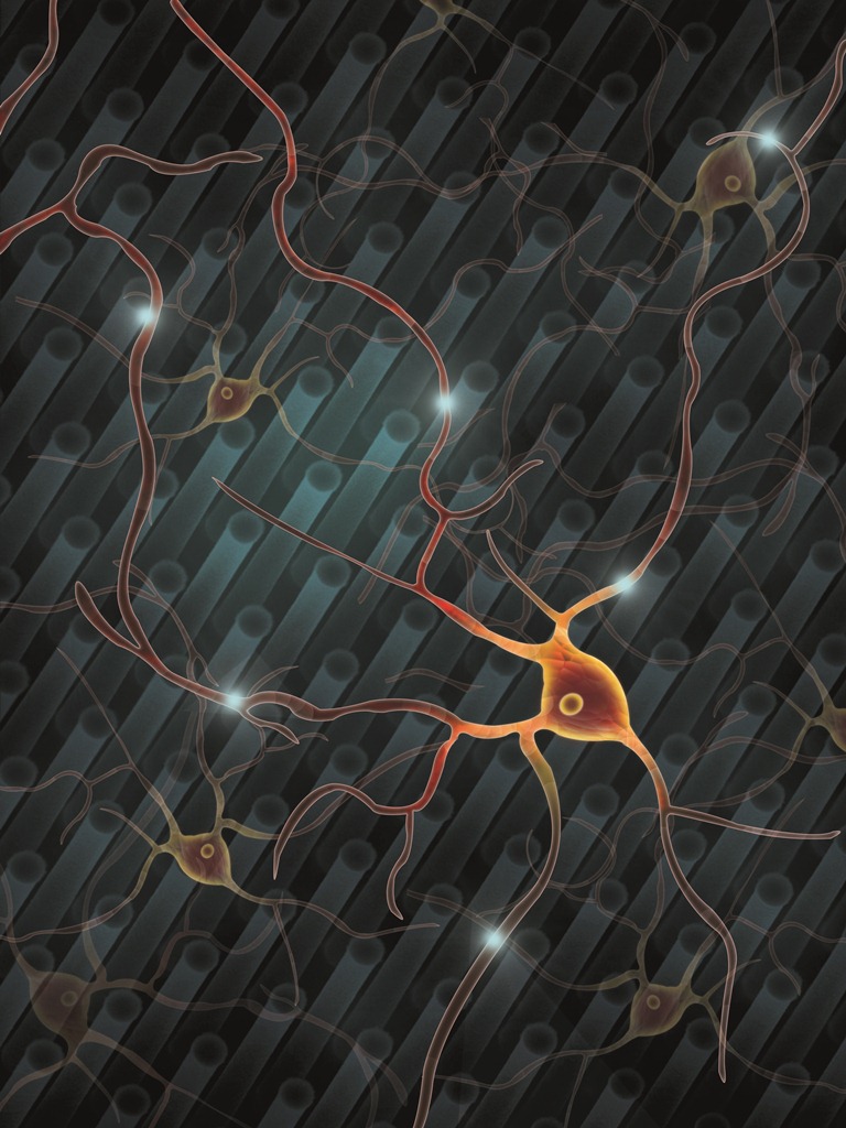 University of Michigan researchers have found that mechanical forces in the environment of human embryonic stem cells influences how they differentiate, or morph into the body's different cell types. To arrive at the findings, they cultured the stem cells on ultrafine carpets made of microscopic posts of a key ingredient in Silly Putty. Image credit: Ye Tao, Rose Anderson, Yubing Sun, and Jianping Fu