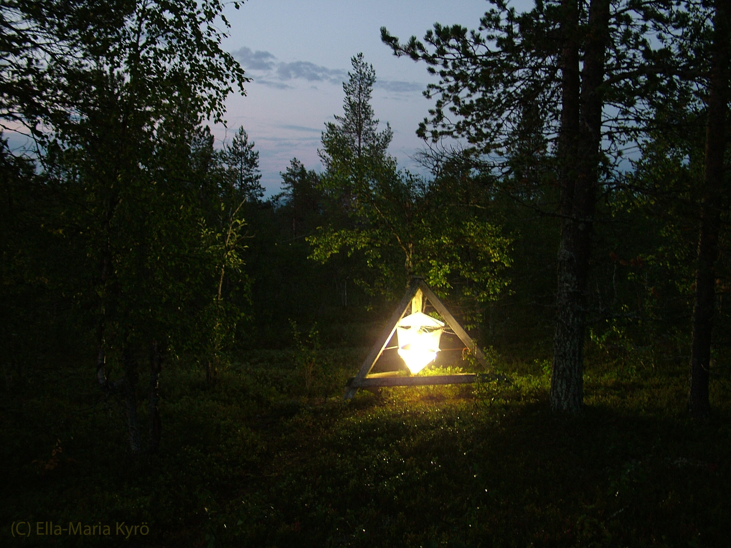 A light trap used to capture moths in a subarctic forest in Finnish Lapland. The study generated 32 years of data about moth population responses to a changing climate. Photo by Ella-Maria Kyro with permission.