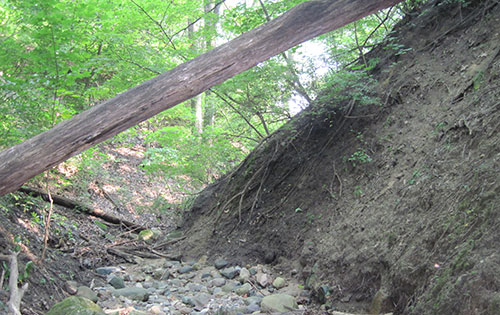 In the early 2000s, SNRE students studied what decades of unchecked stormwater had done. (Image: R. Grese.)