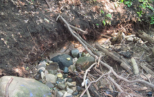 Glacial boulders hidden underground for millenia now sit exposed on the ground. (Image: R. Grese.)