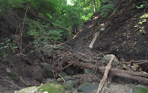When they began to assess damage in the area, SNRE students estimated about a cubic yard of soil had washed out of the glen every day for some 35 years. (Image: R. Grese.)
