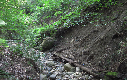 Erosion in the glen has been slowed, thanks to concerted efforts. (Image: R. Grese.)