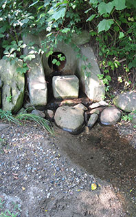 Schoolgirls today would see this drain, which appears at the top of the glen. (Image: R. Grese.)