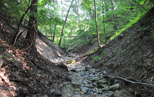 “No person with any poetry in his soul can walk from the second railroad bridge north to Schoolgirls’ Glen without rhyming all the way,” a 19th-century student once wrote. (Image: R. Grese.)