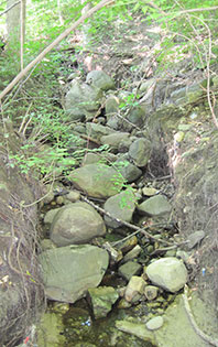 The eroding soil has exposed myriad rocks and stones. (Image: R. Greese.)