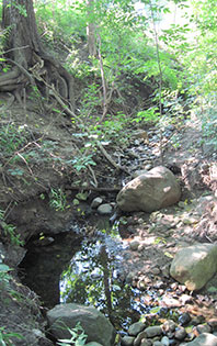 Years of erosion have taken their toll. (Image: R. Greese.)