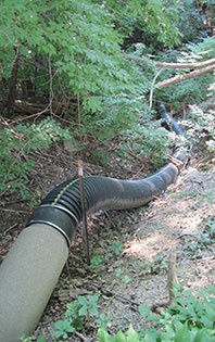 This second pipe carries water from the outlet down to the channel as a way of preventing further erosion. (Image: R. Grese.)