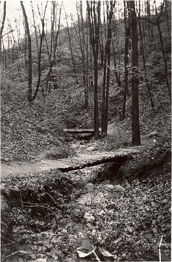 Vintage image of the glen, 1935