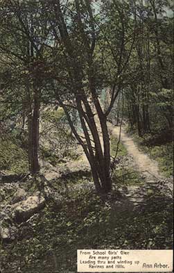 1911 postcard of Schoolgirls' Glen.
