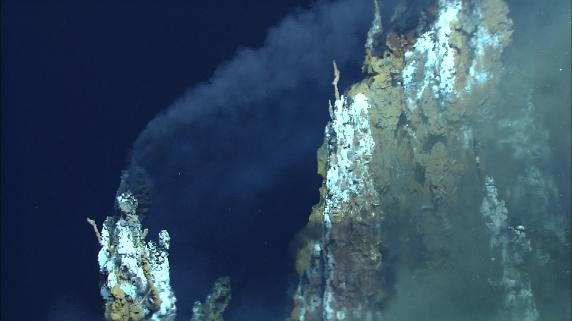 Black smoke from the top of a "chimney" in the Lau Basin in the western Pacific Ocean. Water samples collected by an unmanned submarine revealed how viruses hijack deep-sea bacteria at hydrothermal vents. Image courtesy of MARUM, University of Bremen and NOAA-Pacific Marine Environmental Laboratory.