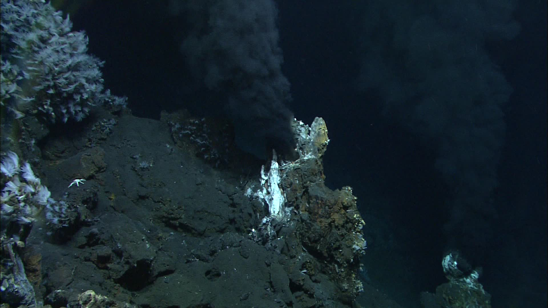 Two "black smokers" vent super-heated, mineral-rich water in the Lau Basin in the western Pacific Ocean. Water samples collected by an unmanned submarine revealed how viruses hijack deep-sea bacteria at hydrothermal vents. Image courtesy of MARUM, University of Bremen and NOAA-Pacific Marine Environmental Laboratory.