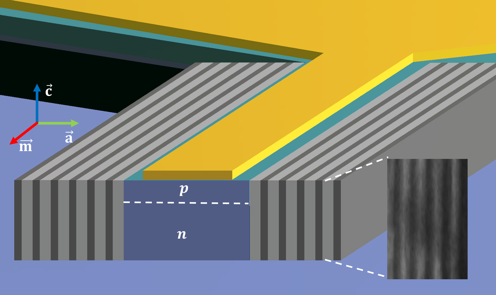 University of Michigan researchers have demonstrated what's believed to be the first practical polariton laser, which makes light beams in a more efficient way than conventional lasers. To accomplish this, they devised an innovative design that involved moving the required mirrors from the top and bottom of the device to the sides. The mirrors are represented by the gray bars. The yellow is the electrode through which the researchers stimulate the laser. The purple is the gallium nitride semiconductor that is able to maintain ideal conditions for polaritons to form and release light. Image credit: Thomas Frost