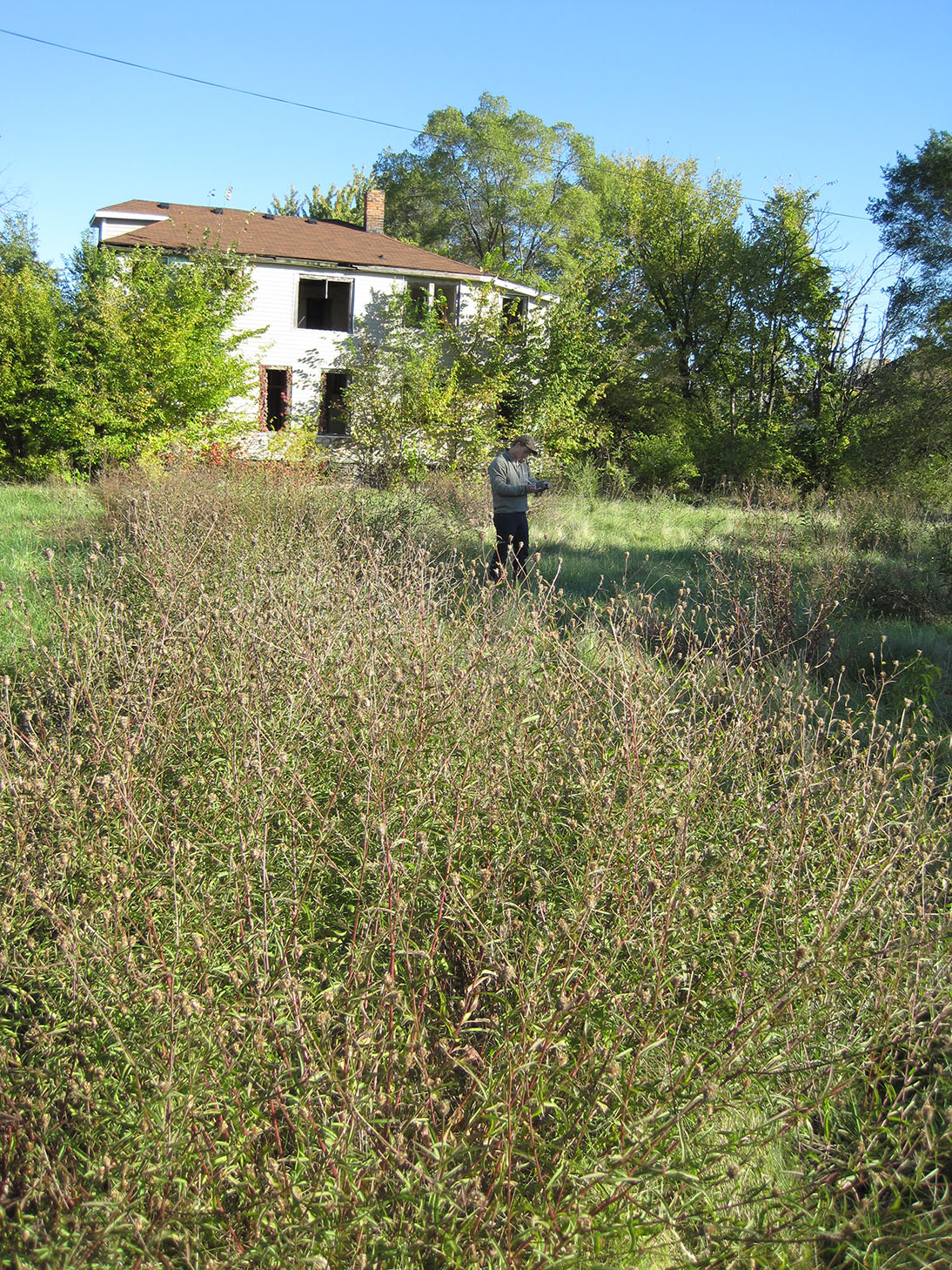U-M researcher Ben Connor Barrie collecting data about the plants growing on a vacant lot next to an abandoned home in Detroit. Image credit: Daniel Katz