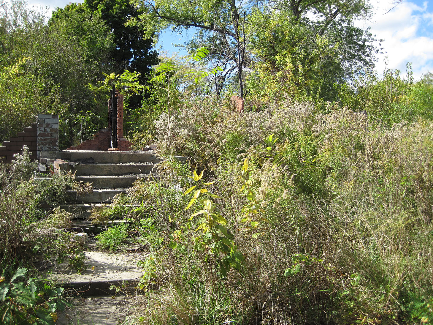A walkway and steps on a vacant lot in Detroit. Image credit: Daniel Katz