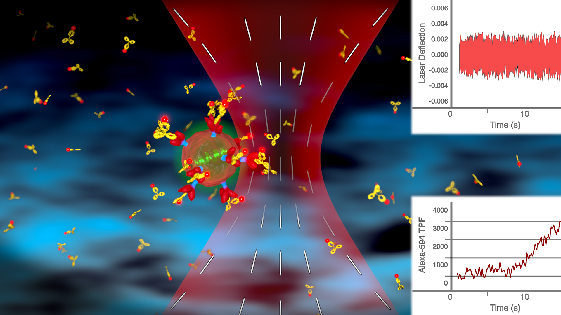 A cartoon showing a single HIV-1 particle being captured by an optical trap delineated by the white lines and red shadows. Image credit: David Brennan