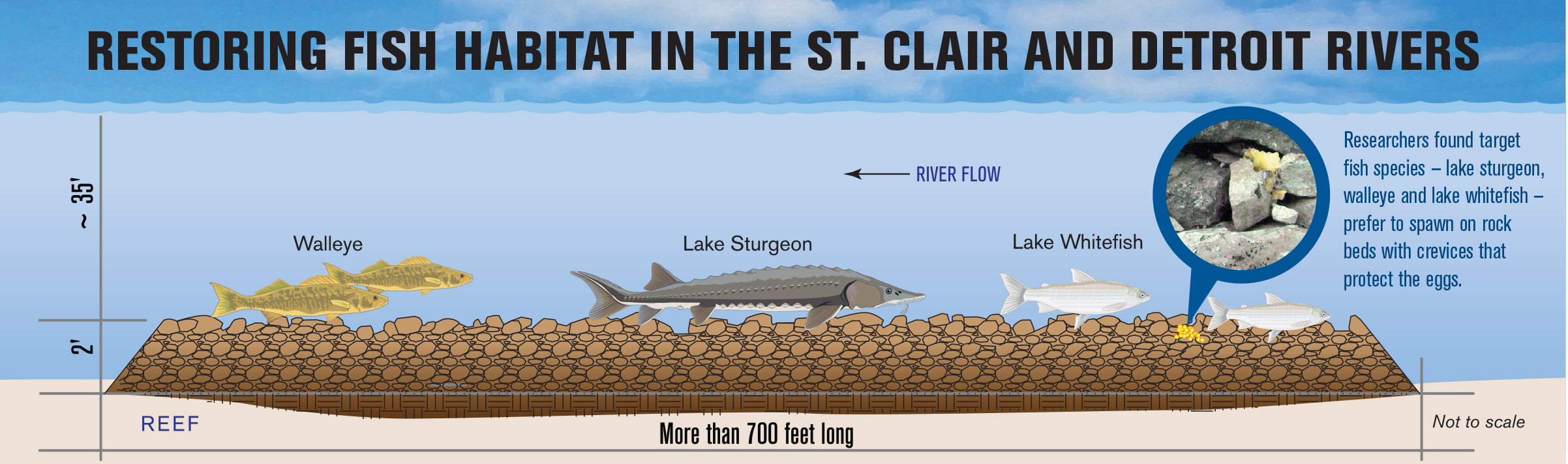 Restoring fish habitat in the St. Clair and Detroit rivers.