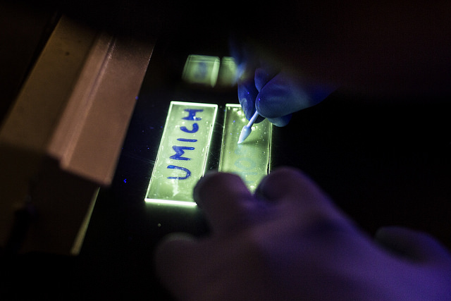 The phosphorescent LEDs can reveal the presence of water under backlight. Water causes polymers to break in the LEDs, changing from phosphorescent light (green) to fluorescent light (blue). Image credit: Joseph Xu