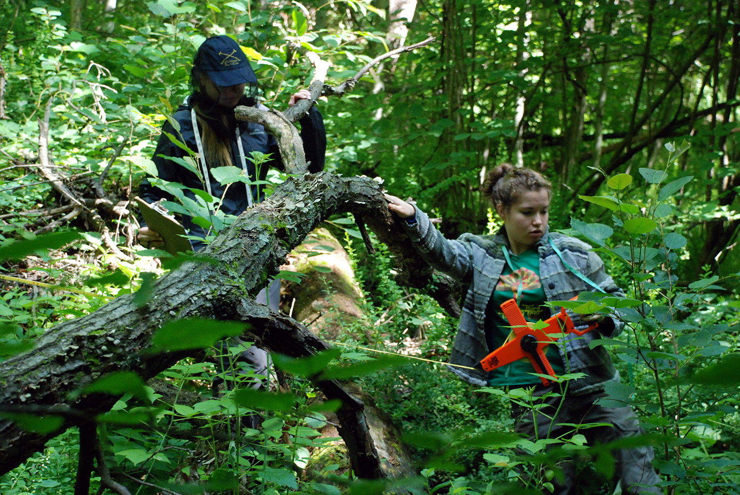 Students mapping tree coordinates at a research plot in U-M’s Edwin S. George Reserve northwest of Ann Arbor. Image credit: Dale Austin