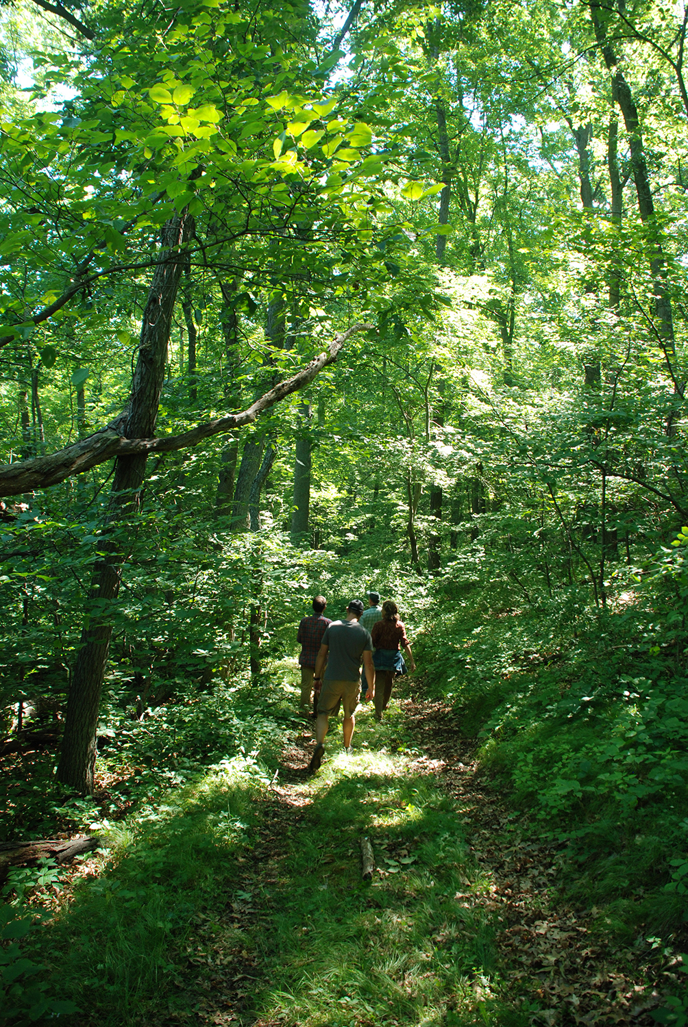 Student researchers walking a path at U-M’s Edwin S. George Reserve northwest of Ann Arbor. Image credit: Dale Austin