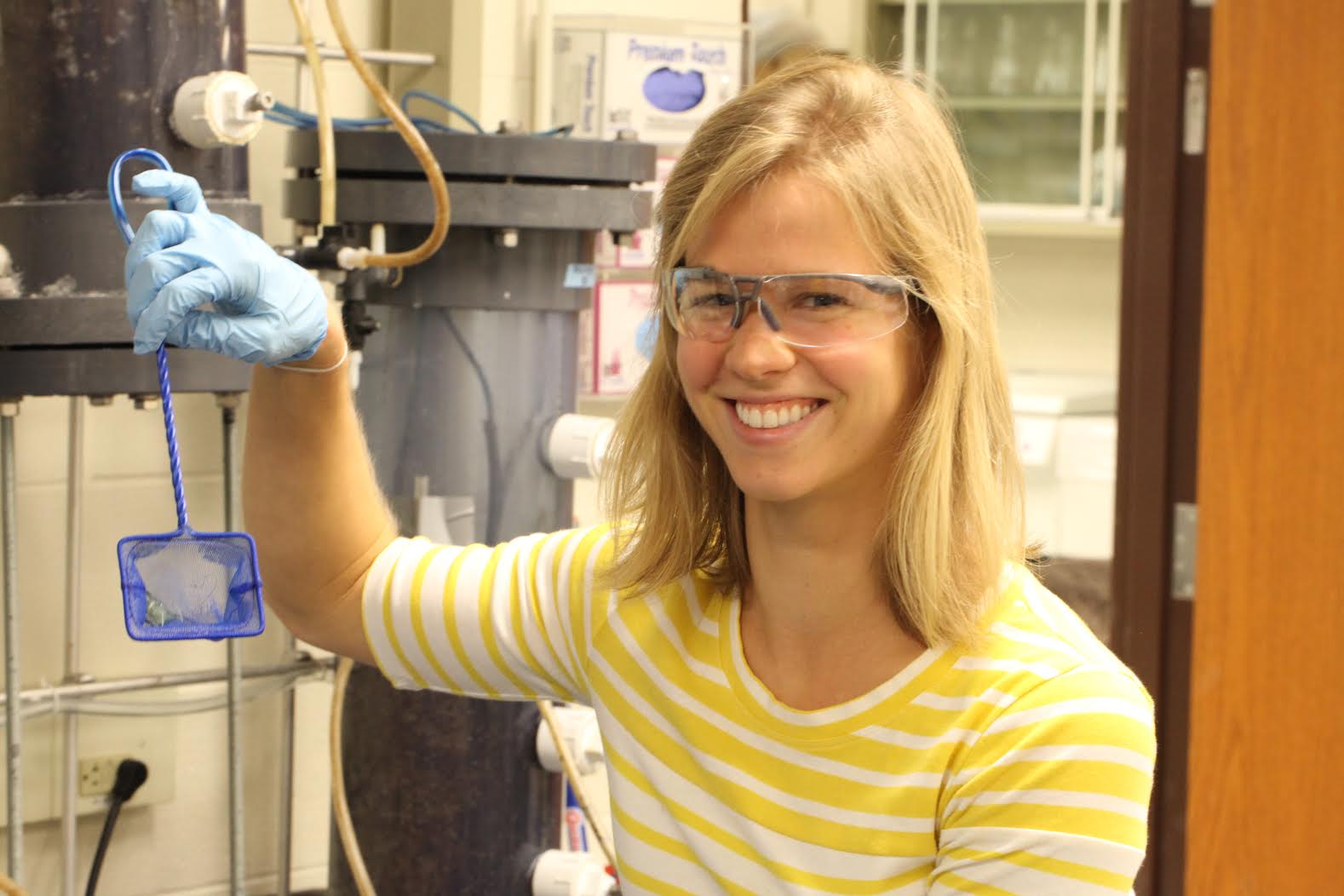 University of Michigan graduate student Lizzie Grobbel holding a young shrimp in a net. Image credit: Clive "Clegg" Waldron
