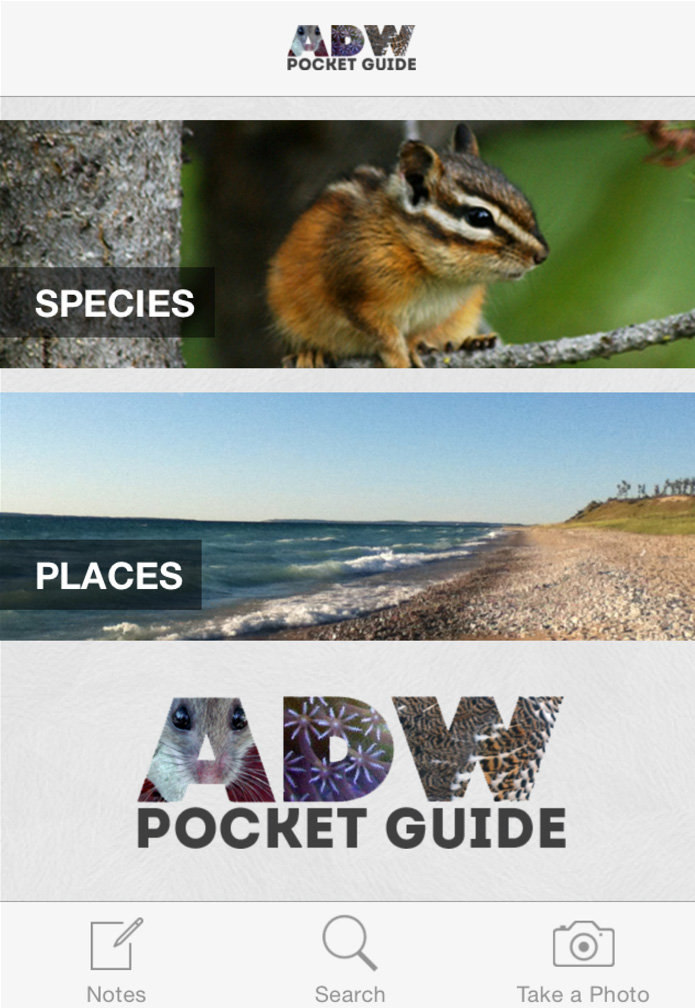 A screenshot of the app.