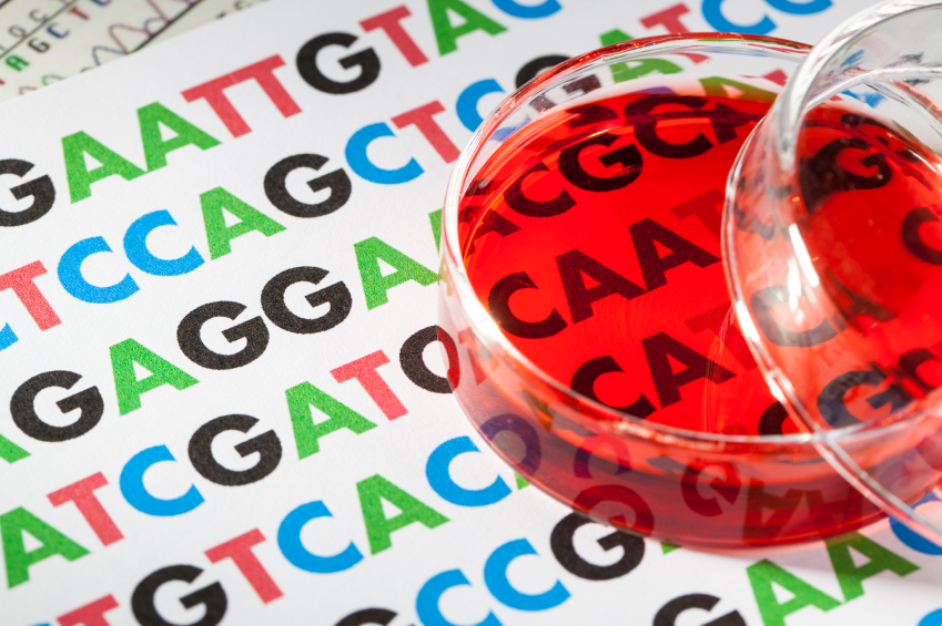 Petri dish on DNA sequencing chart. (stock image)