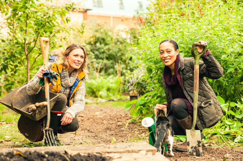 Two gardeners with their woking tools in a vegetable garden. (stock image)