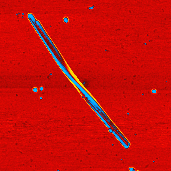   A twisted ribbon of cadmium telluride nanoparticles. University of Michigan engineering researchers have discovered that circularly polarized light can affect the chirality, or handedness, of nanoparticle chains. Their findings could provide insights into the structure of life. Image credit: Jihyeon Yeom