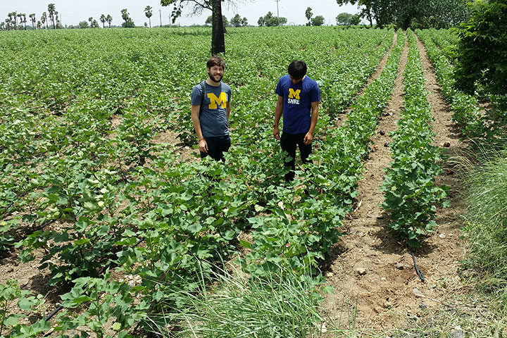 University of Michigan students and Dow Distinguished Award for Interdisciplinary Sustainability winners John Monnat, left, and Adithya Dahagama in a cotton field in South India. Image credit: Umamaheshwar Dahagama