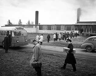 Willow Run, buses. (Photo courtesy Bentley Historical Library.)
