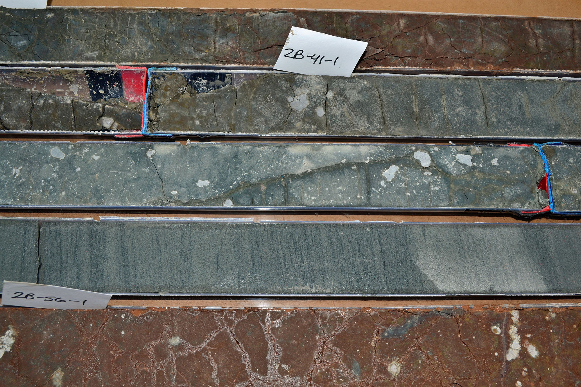 Gray, roundish nodules of carbonate or limestone in these sediment cores drilled from northern   Wyoming revealed the amount of carbon in the atmosphere, oceans, plants and soils during the   Paleocene-Eocene global warming episode some 56 million years ago. A University of Utah-led study   concluded the episode was more like modern, human-caused global warming than previously thought. Image credit: Bianca Maibauer, University of Utah