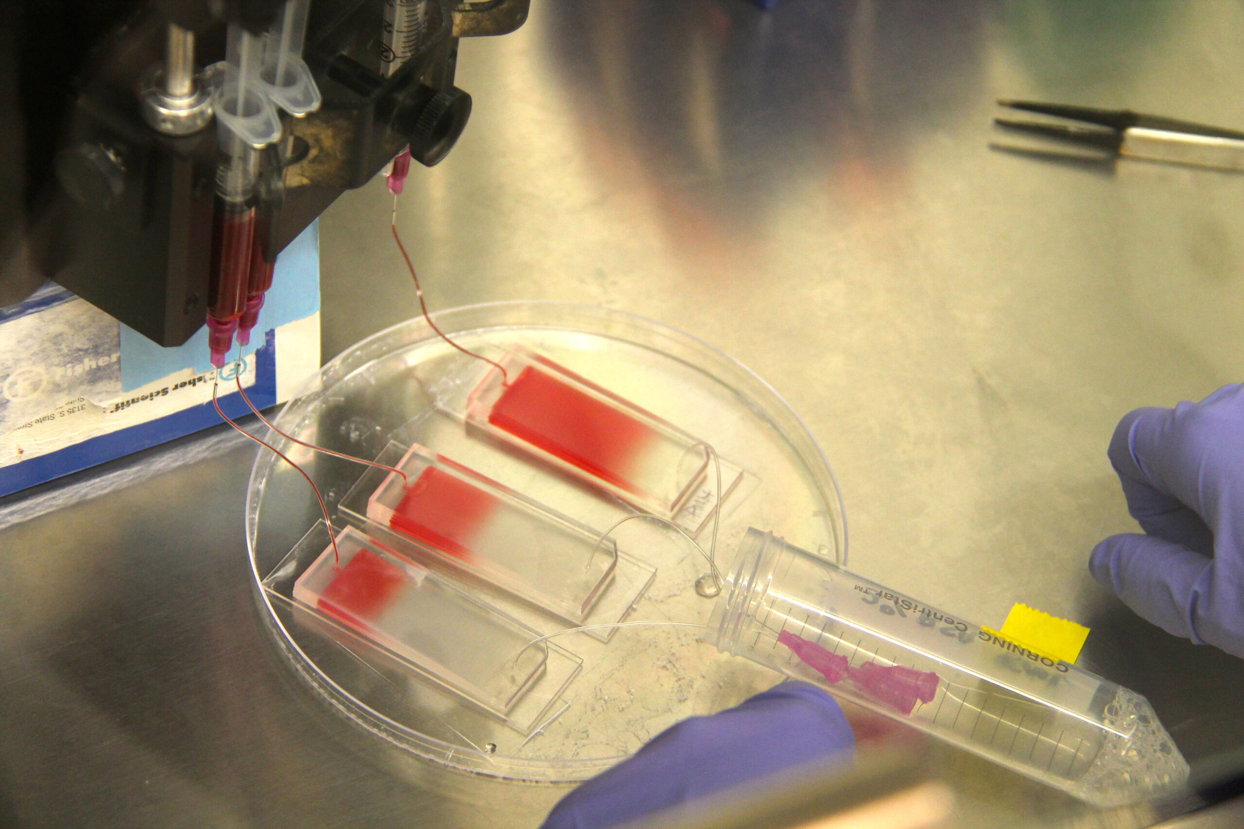 A blood sample is pumped into a microfluidic chip as part of the microfluidic co-culture process. Image credit: Jennifer Zhuo Zhang