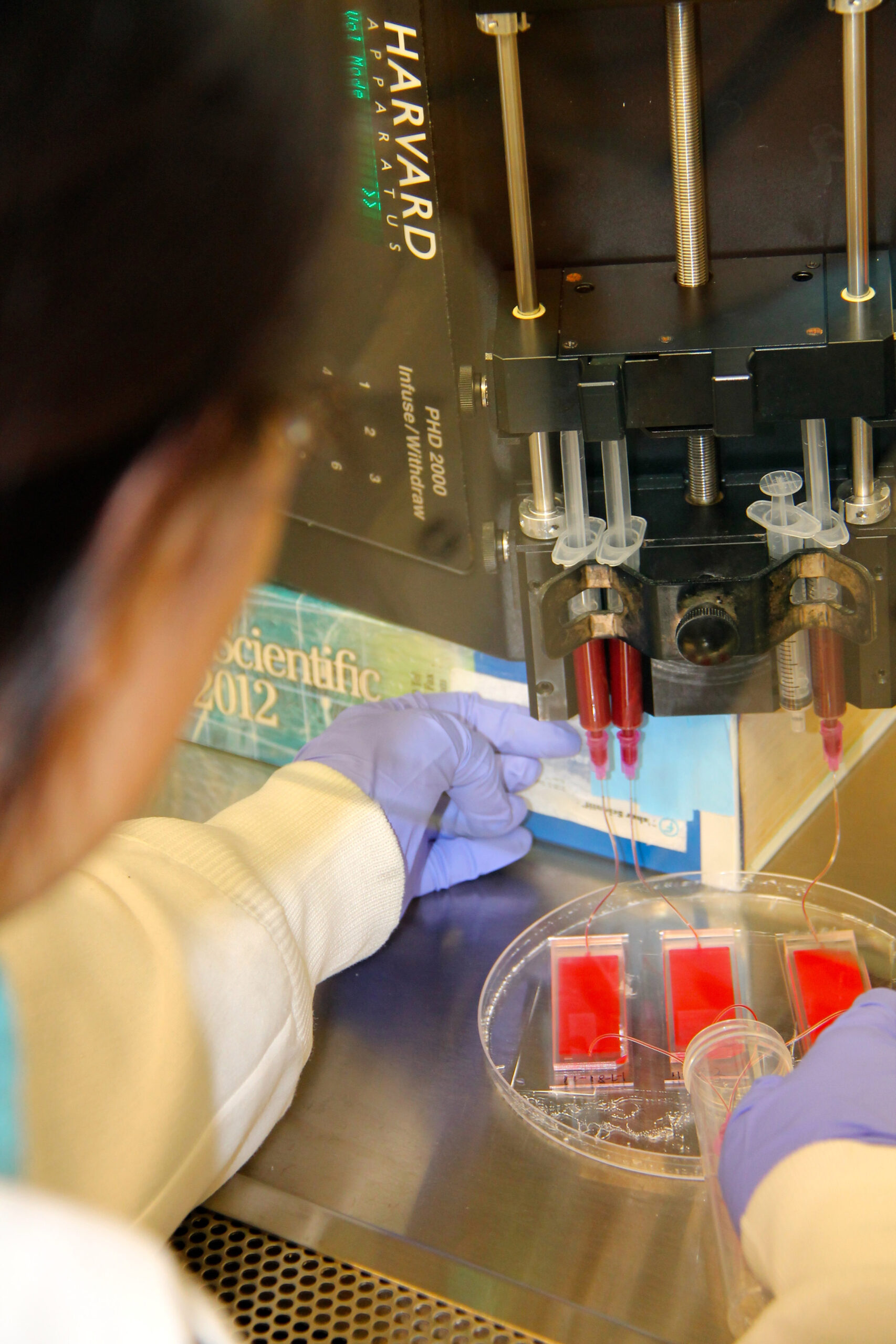 U-M researcher Jennifer Zhuo Zhang runs an experiment using the microfluidic chip device.  Image credit: Jennifer Zhuo Zhang