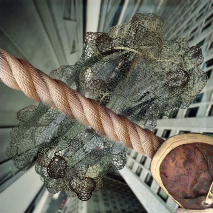 Amyloids walk a tightrope: The net beneath the rope is a representation of the molecular structure of a protein called CsgC. CsgC can be likened to a safety net that catches amyloids and prevents them from formulating in a way that’s toxic to cells. When amyloid formation happens at the wrong place or time, it can be toxic to cells. Image credit: Sarah Kang, U-M undergraduate student