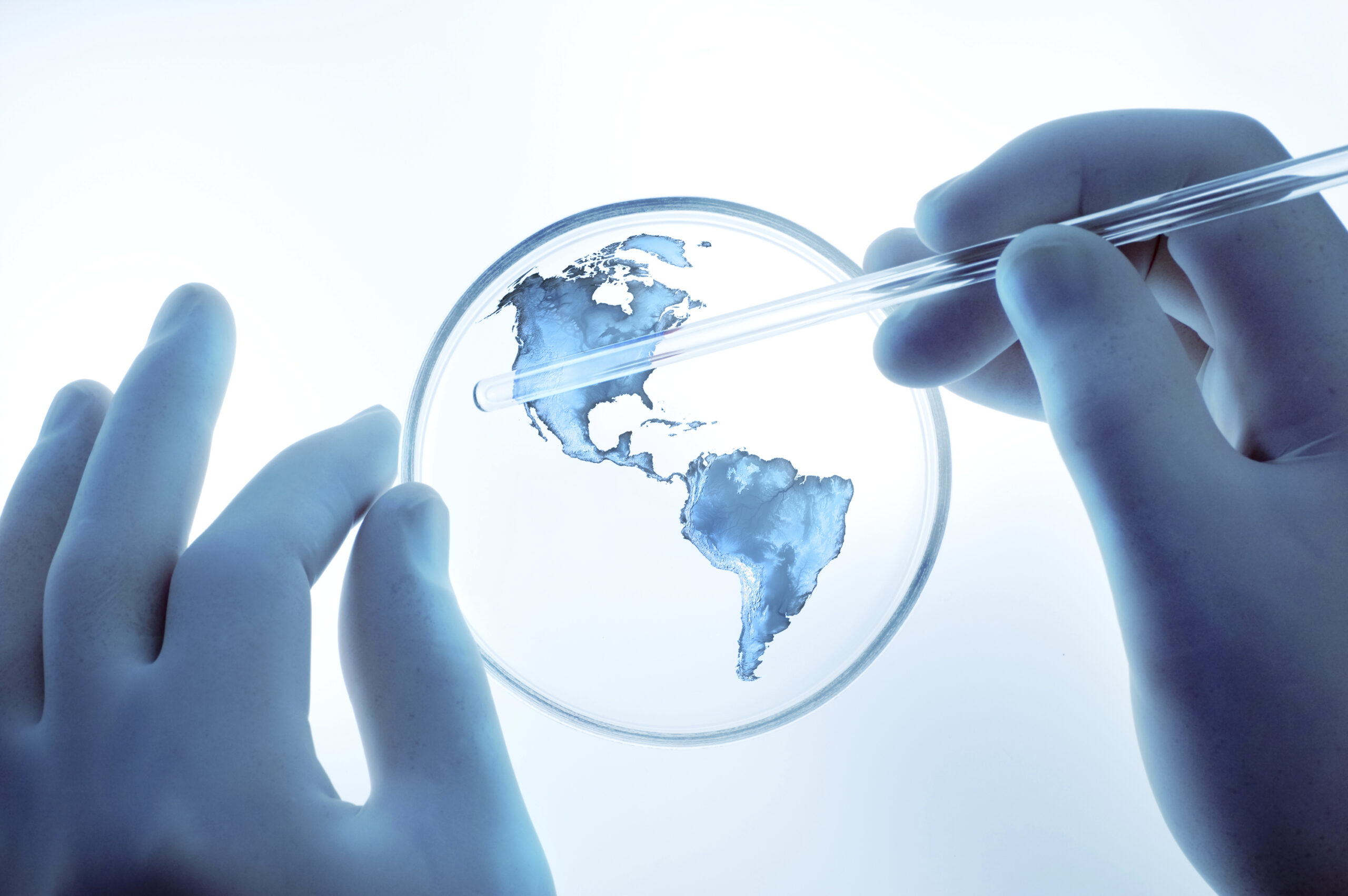 Concept photo of gloved hands examining Earth's continents in a petri dish. (stock image)